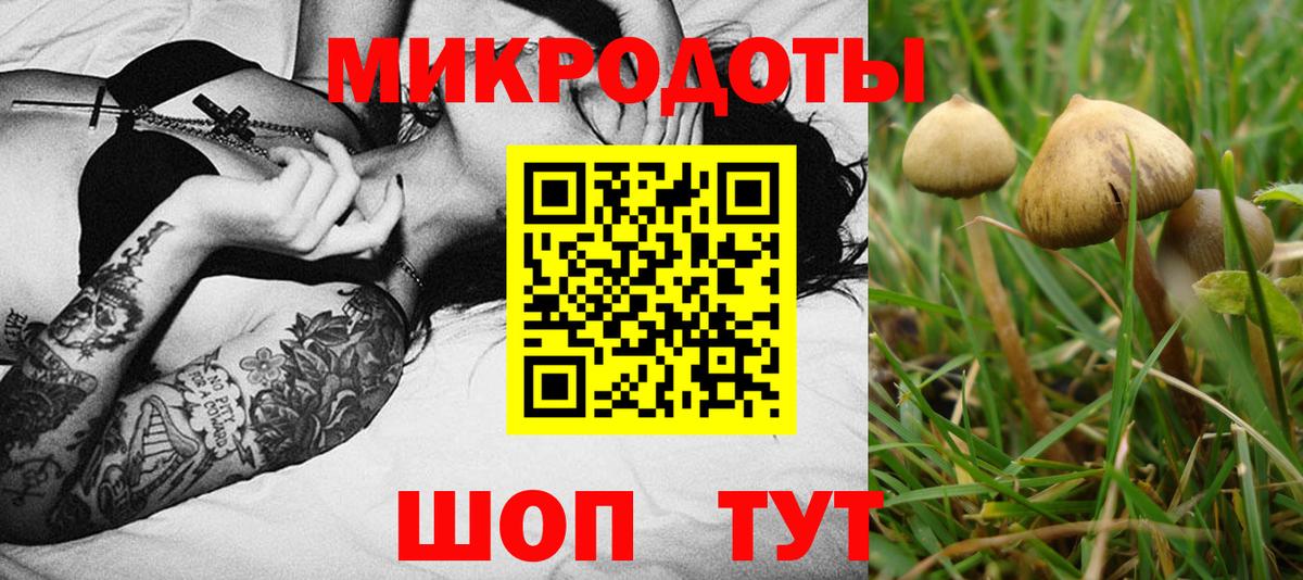 Спасск-Дальний  Псилоцибиновые грибы прущие грибы  Вход с VPN 
